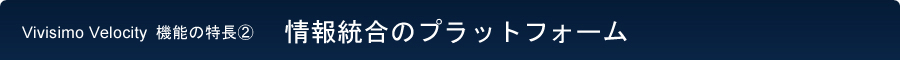 情報統合のプラットフォーム